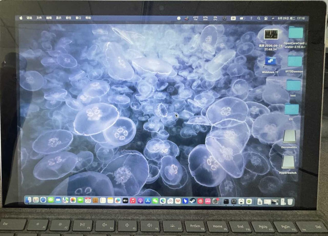 SurfacePro6黑苹果
经过了两三天的折腾，总算把黑苹果优化到了还不错的程