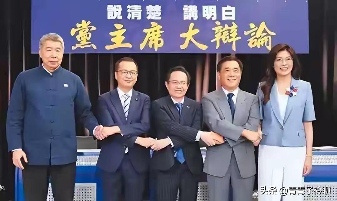 还有不到20天的时间，台湾省内最大在野党国民党下一任党主席便会投票产生，我想说，
