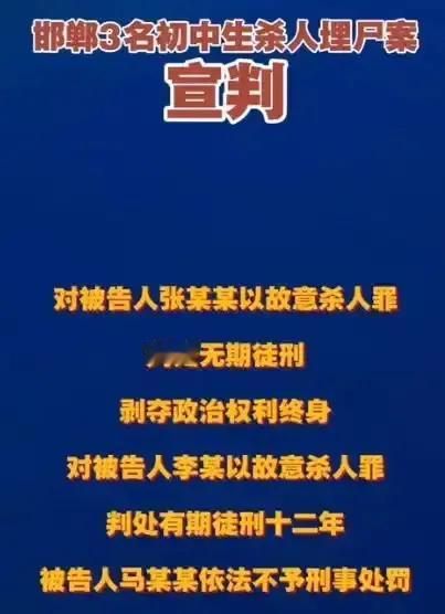 王某某被害一案的判决：一人被判处无期徒刑，另一人获刑 12 年有期徒刑，而马某某