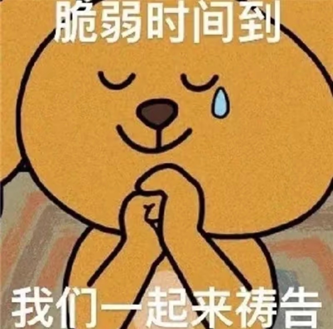 天呐‼️来了吗要来了吗我突然好紧张啊[给力]马上要阅鲸了你们做好准备了吗 ​​​