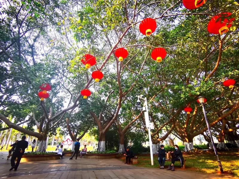 在海南，春节不叫“过年”，而叫“做年”。一个“做”字，道尽了所有——这年味，是手