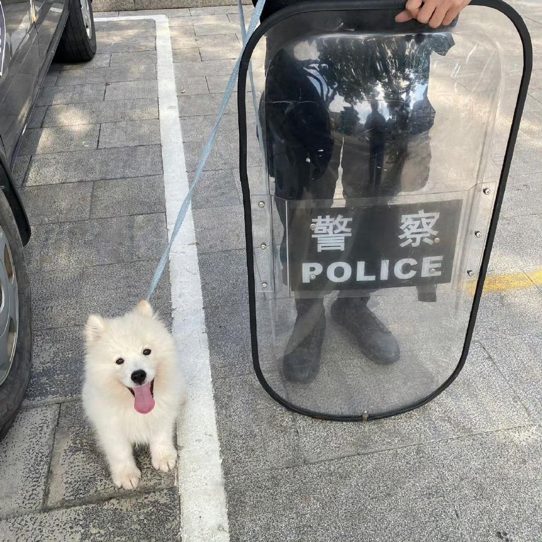 《当我简历造假却得到了这份工作》 