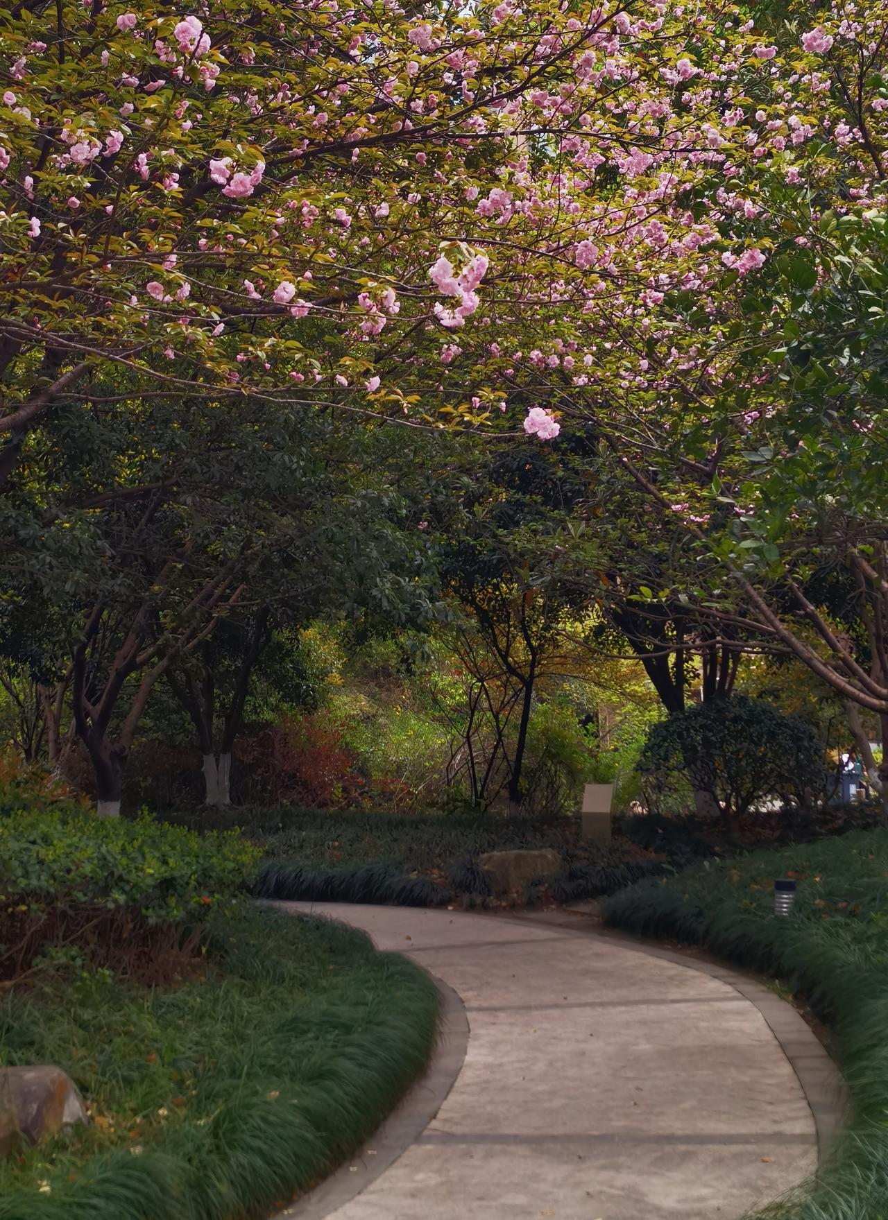【热评】打击“饭圈”违法须治罪
 
徐某建群专门侮辱为国争光的未成年运动员全红婵