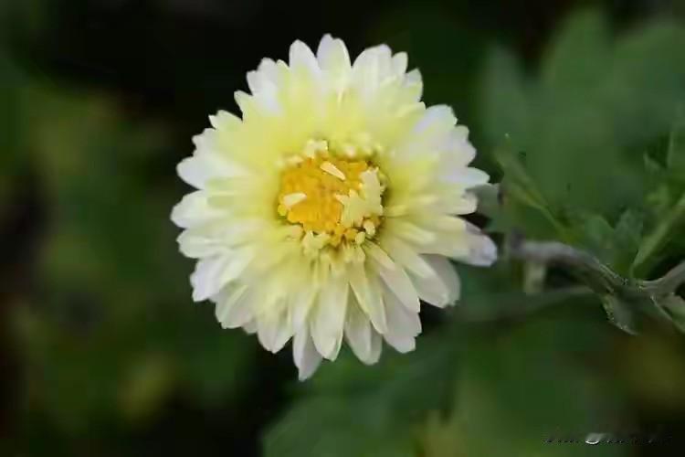 世事无常，珍爱健康，想必是人生最大的本分，昨夜席间闻听，一位每日常微信往来问候的