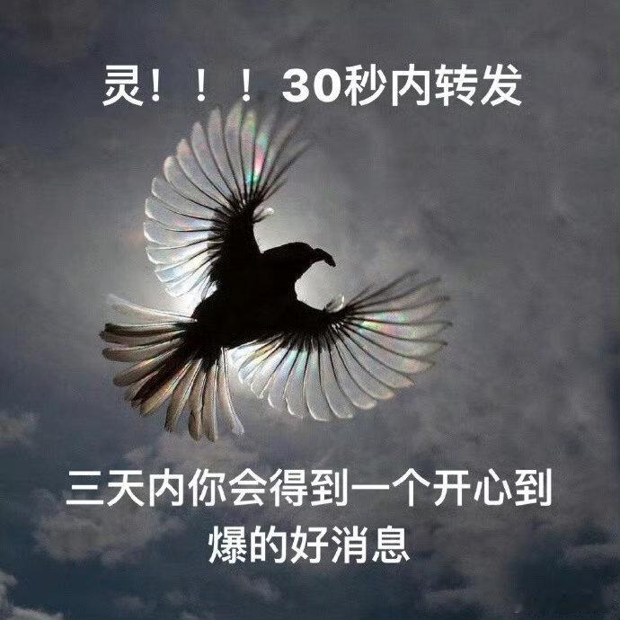 灵的！不要无视！30s内，3天内你必会得到一个开心爆炸的好消息～ 私信，可以许愿