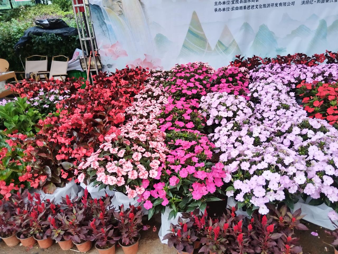 宜良花街真实记录