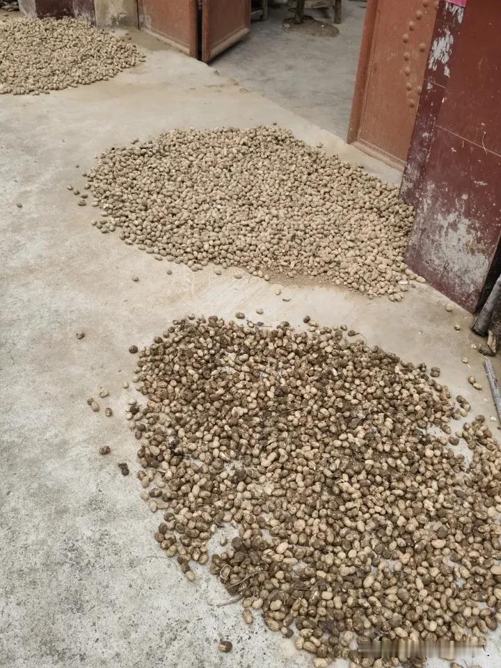 发一张照片分享今天