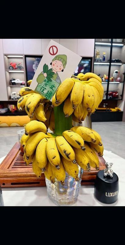 王楚钦比赛完都半夜了，肚子饿得咕咕叫，就吃了一根香蕉，再来碗泡面垫吧垫吧。
心疼