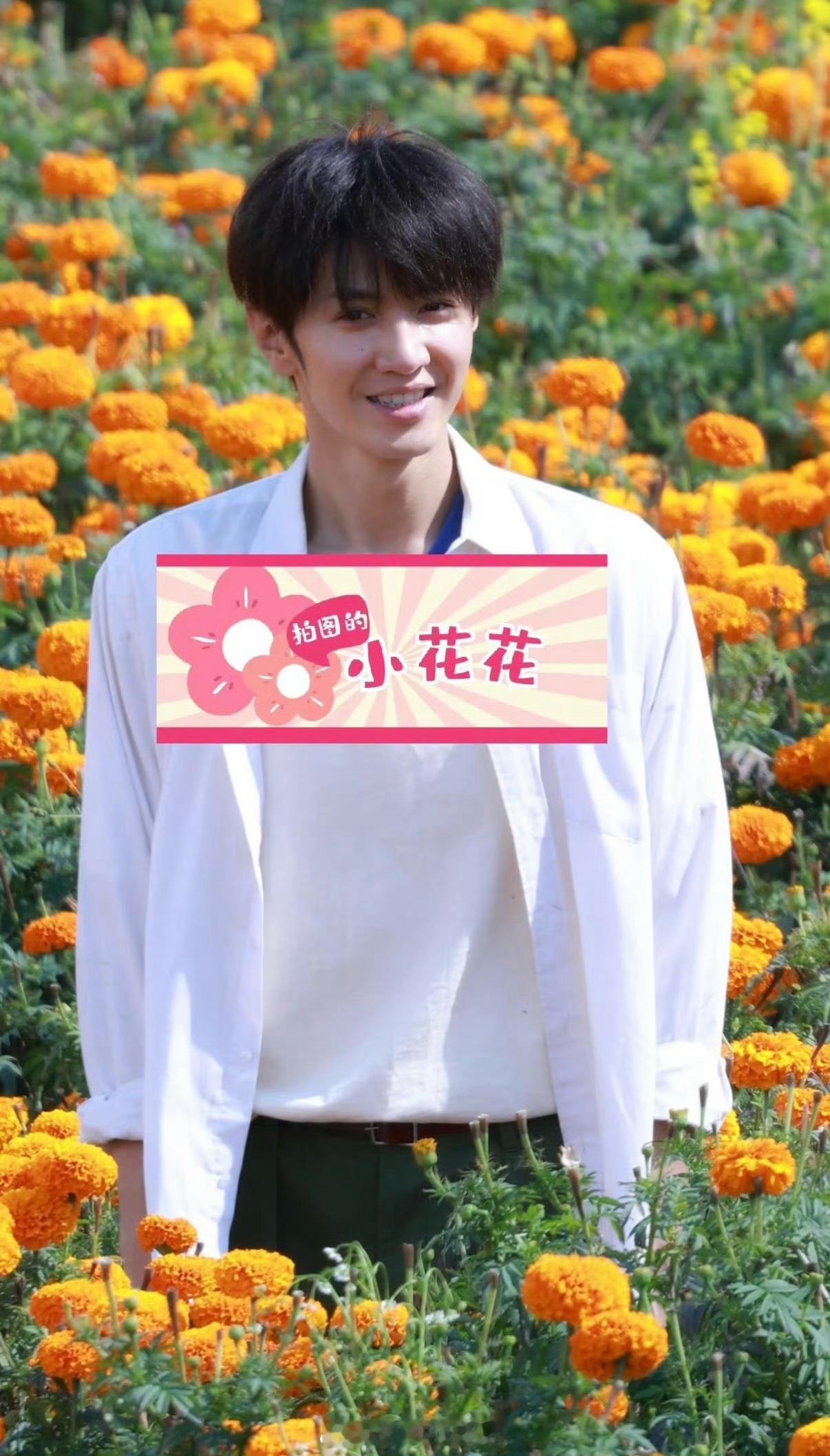 阳光快乐小甜豆～小光哥哥 内娱的神之八秒‍陈哲远章晨光陈哲远边南追缉 ​​​