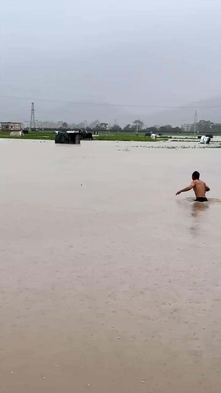 洪水来蛇都没地方藏了。