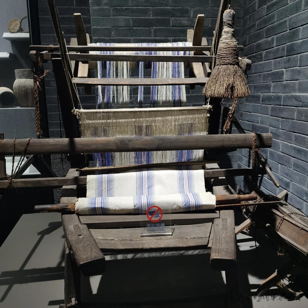 #秋日生活打卡记# 
万事万物，你若预测它的未来，你就会说它有无数种可能，可你若