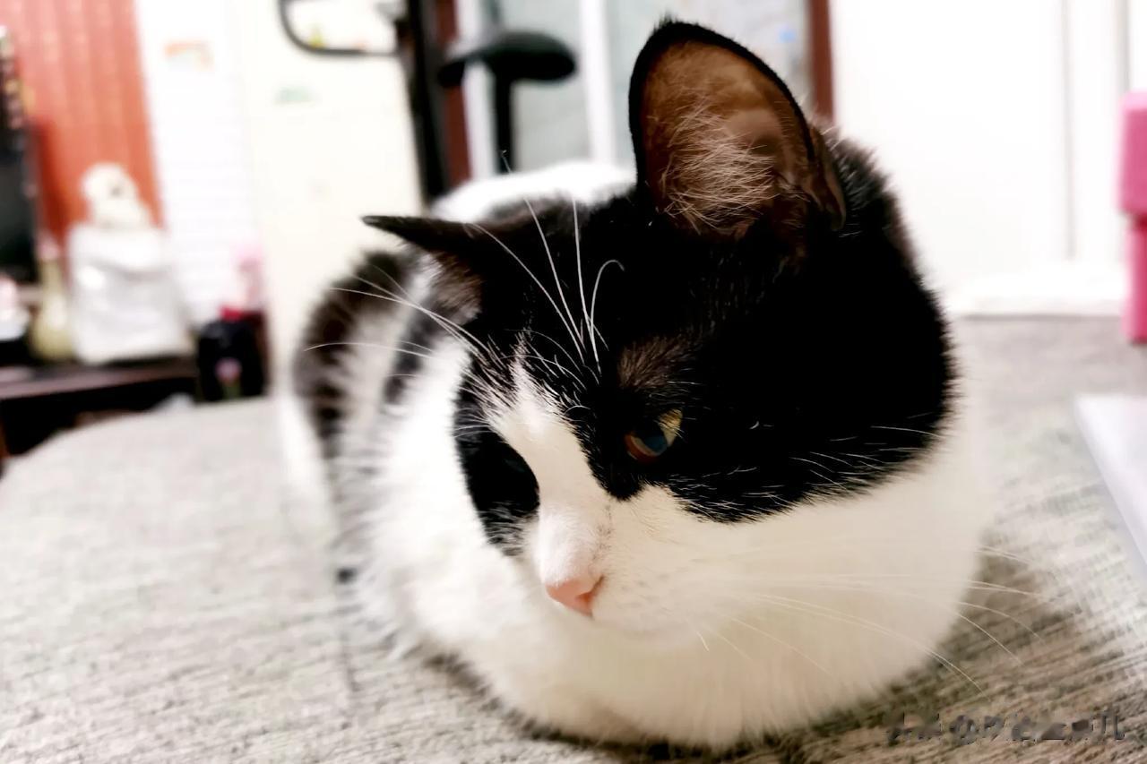 不知何时？不论男女老少有时候只想独自静静地待一会儿，悲伤也成享受。难道说是时代的