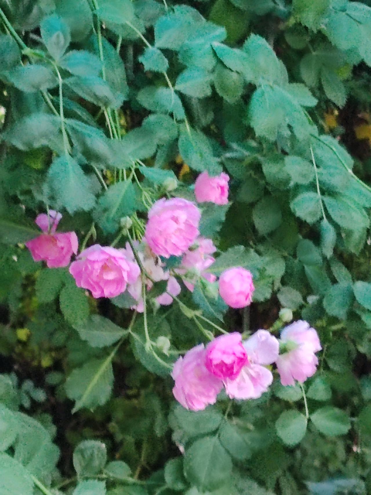 往昔处于自给自足的小农经济时代，人们所求不过一日三餐，因而拥有充裕的闲暇时光。如