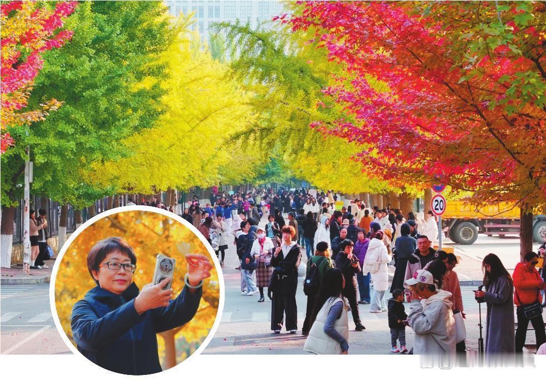 【秋染校园】 深秋时节，色彩斑斓。辽宁大学（崇山校区）校园内的各种树木披上了绚烂