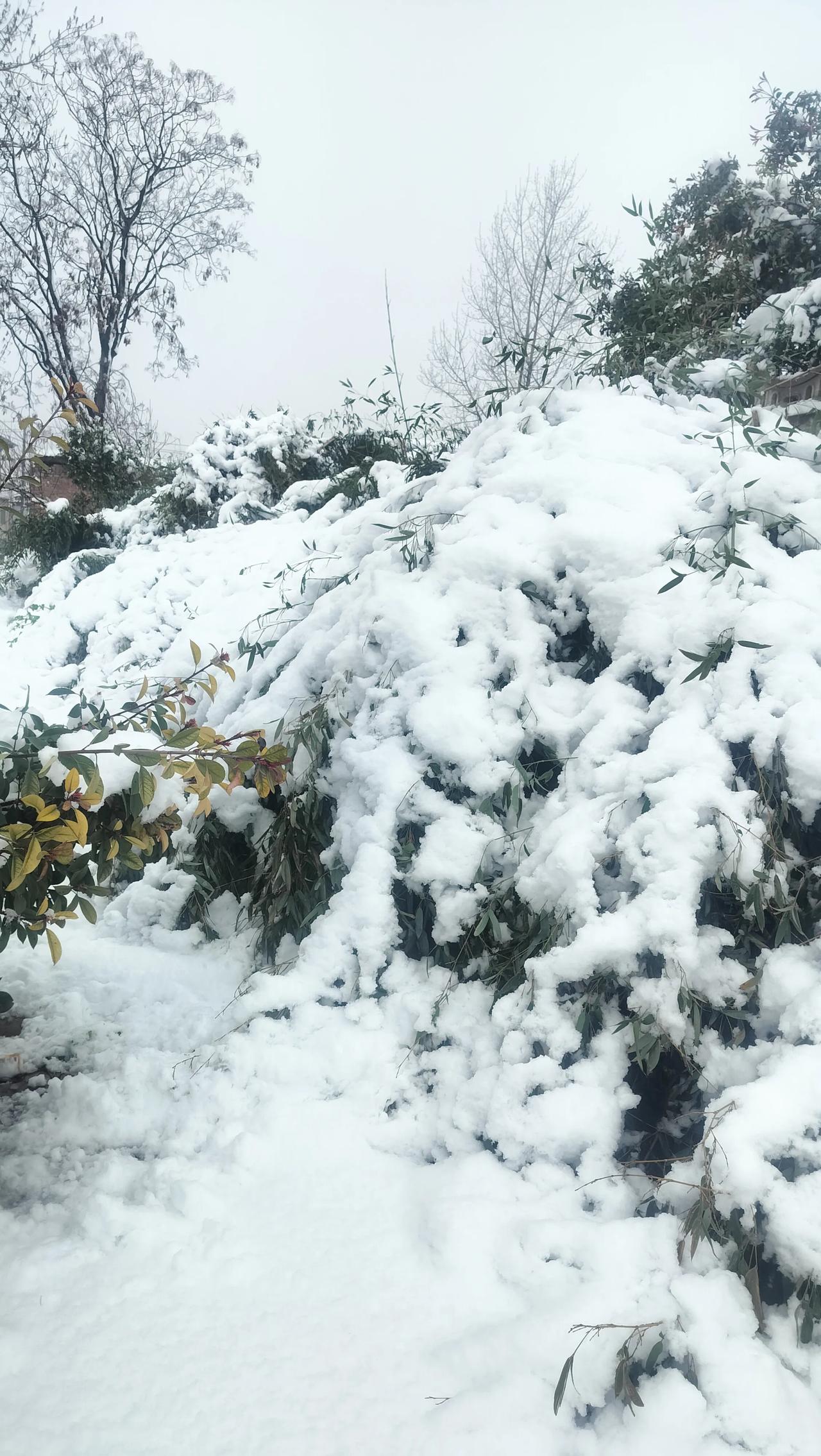 人这一辈子，别总盯着钱和面子。
 
最值钱的，不是房子车子，不是存款多少，而是健