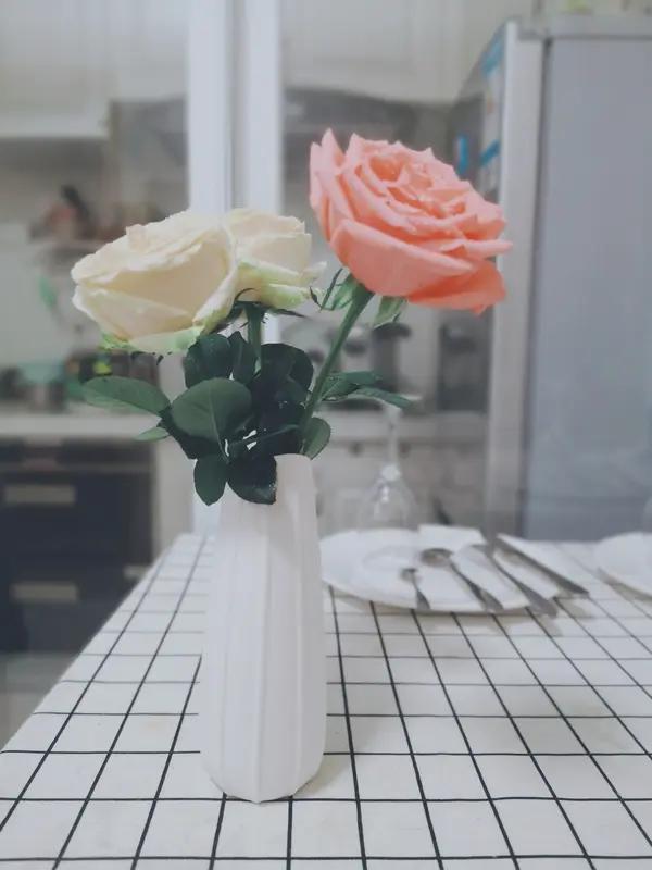 孤独与温馨，就像生活的两面。我曾在异乡打拼，下班回到狭小出租屋，屋里冷冷清清，窗