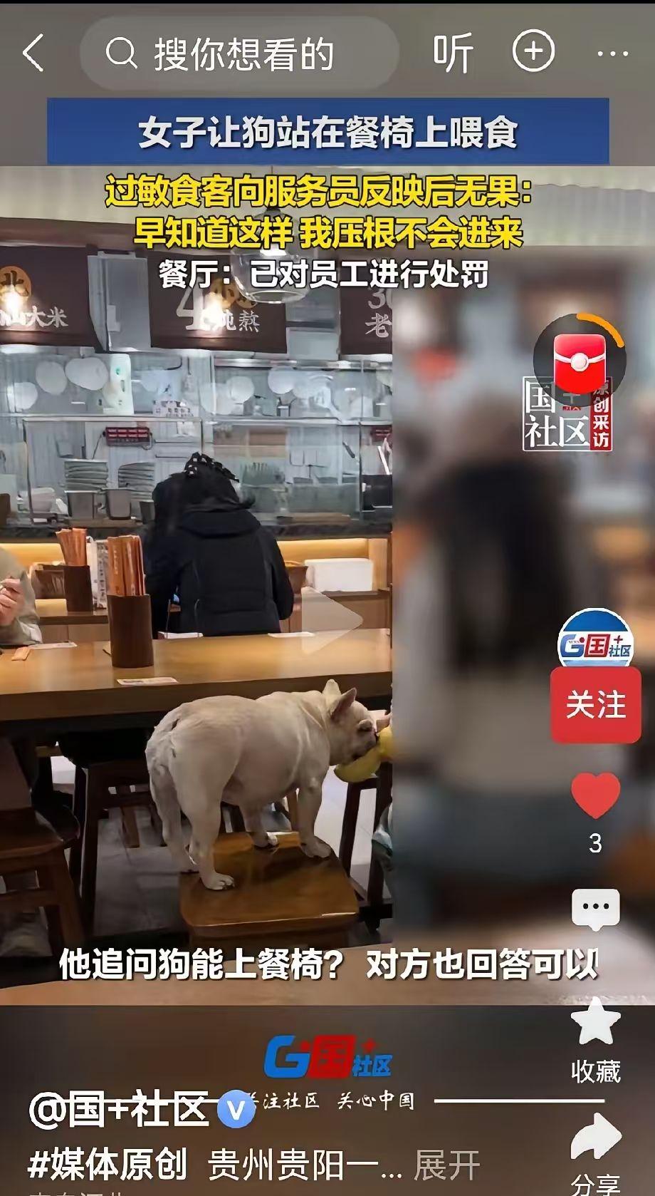大多数餐厅还是会明令禁止宠物入店的，大多数人基本的素质还是有的，好在这种现象毕竟