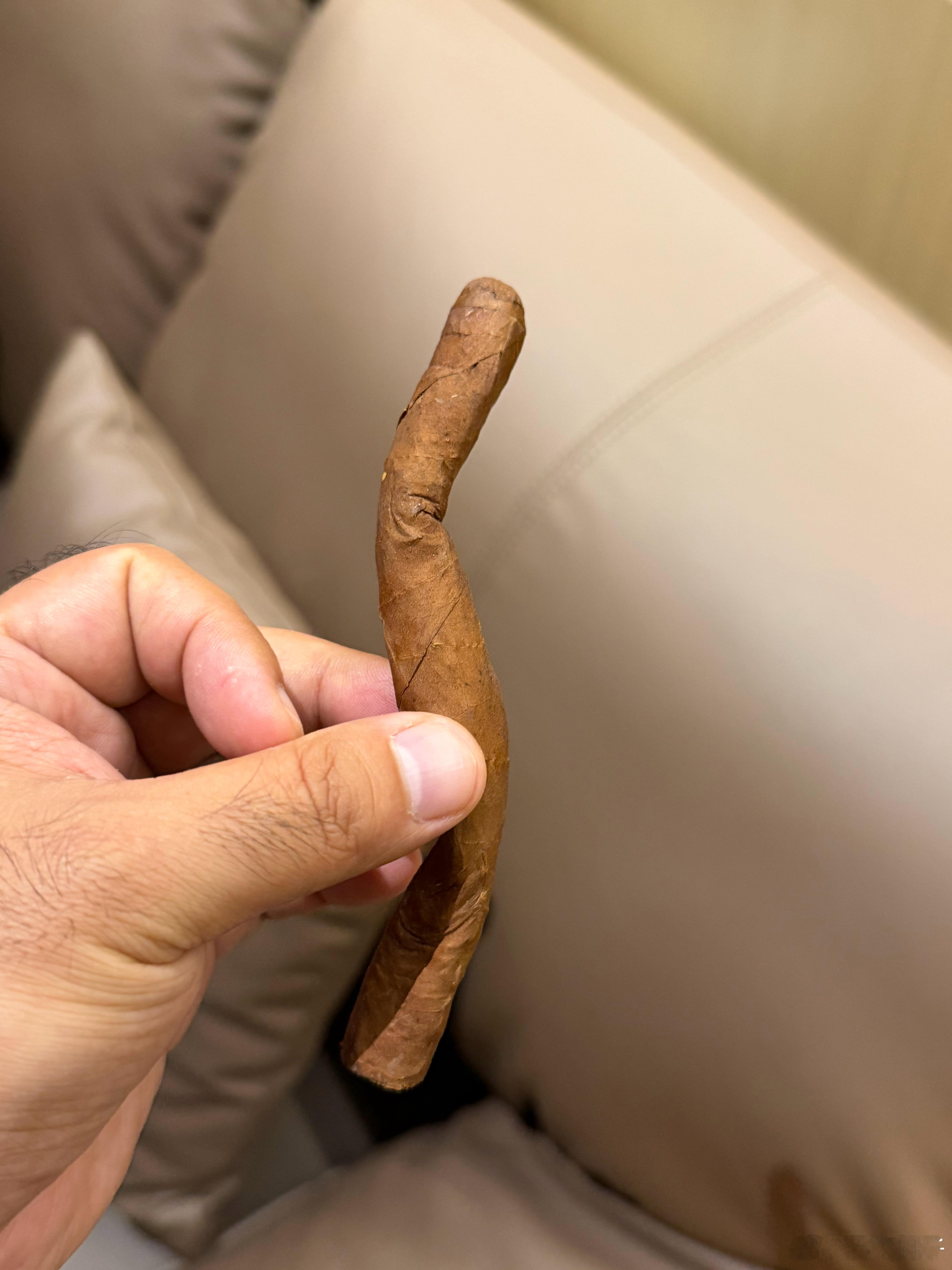 这根盘蛇雪茄我养了5年，今天再试试看，口味好不好