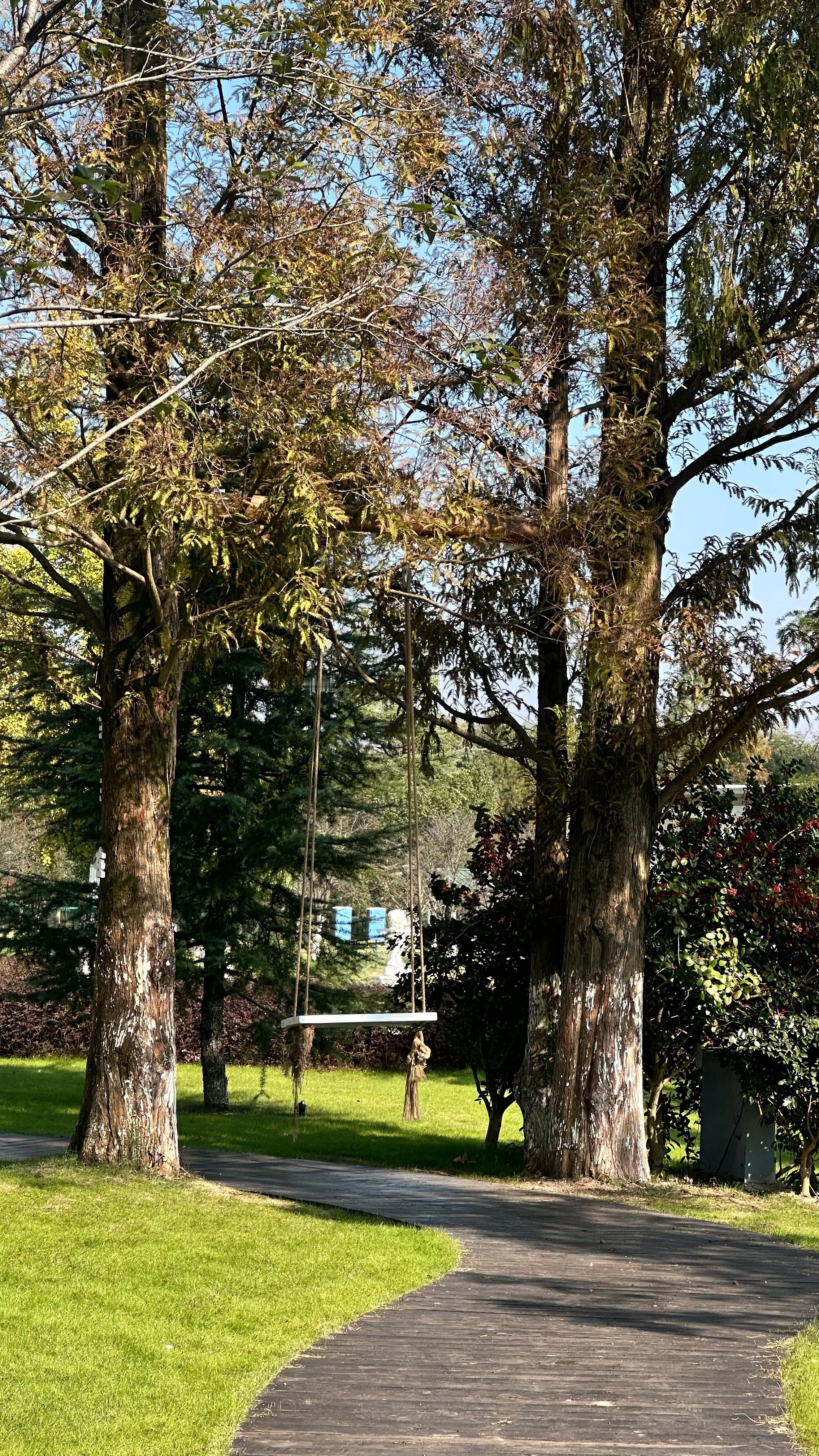 秋天的味道🍂 苏州