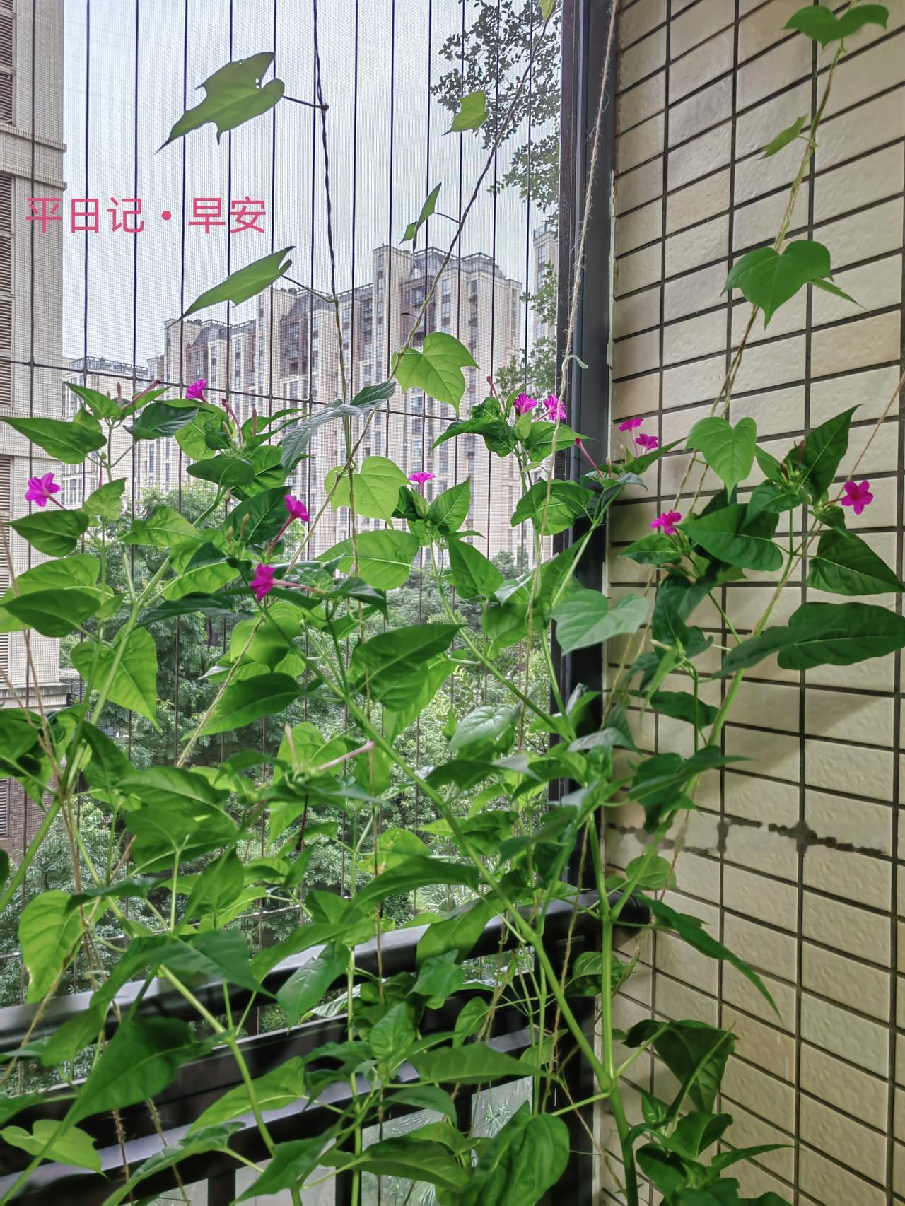 平日记•早安

少年负壮气，奋烈自有时；笔尖所至，皆是心之所向。

考场之上，书