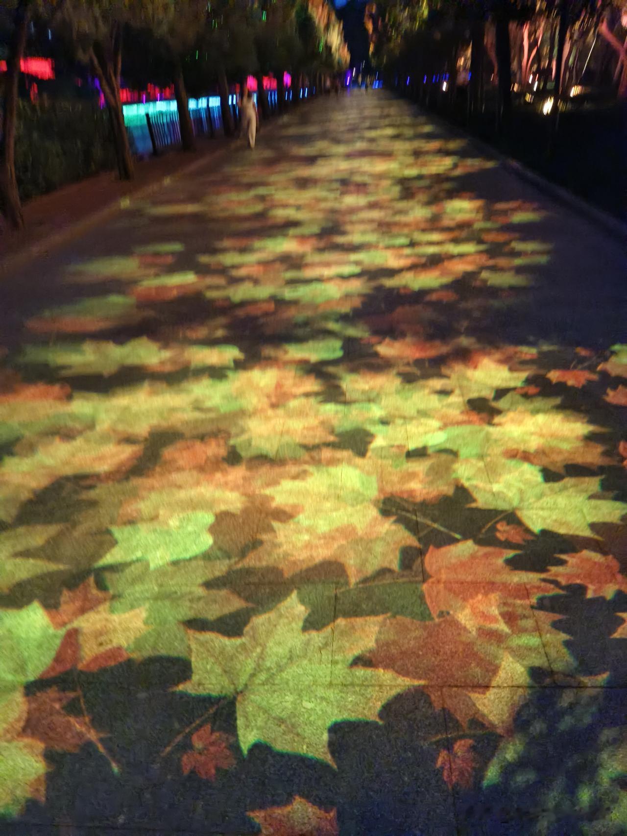 梦幻光影步道，夜晚的浪漫漫步