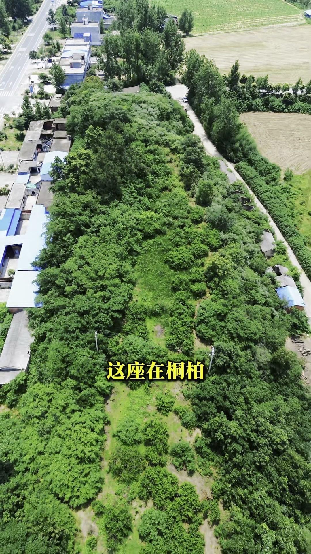 这座在桐柏并不起眼的小山龟山，其实一点也不简单，有看得见和看不见的两面。

说起
