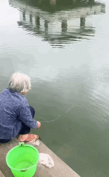 图一：奶奶你这么做，让那些手握几千块钱钓具的钓鱼人怎么办？
图二：小伙子觉得，喜