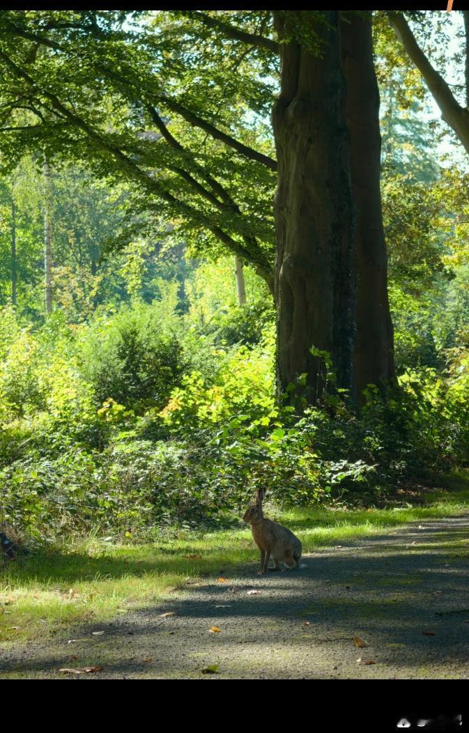 我又没收你钱，给你免费推荐的还要每次包赚，还要多翻催促着买，你爹都没我对你这么好