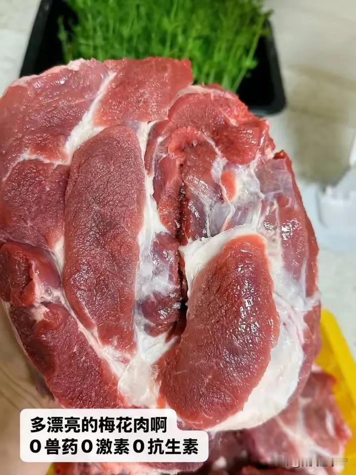 今天买了两斤肉准备包饺子
我奶说
这一看就是饲料猪肉
颜色太红了
你们帮我看看