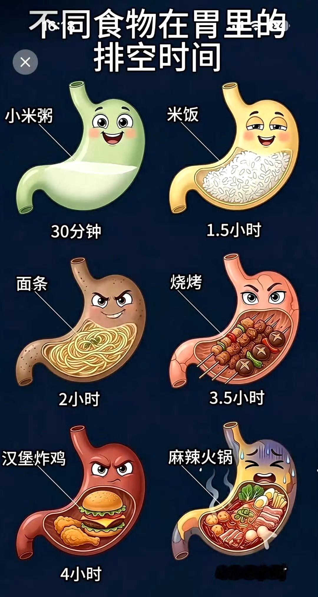 不同食物在胃里的排空时间。