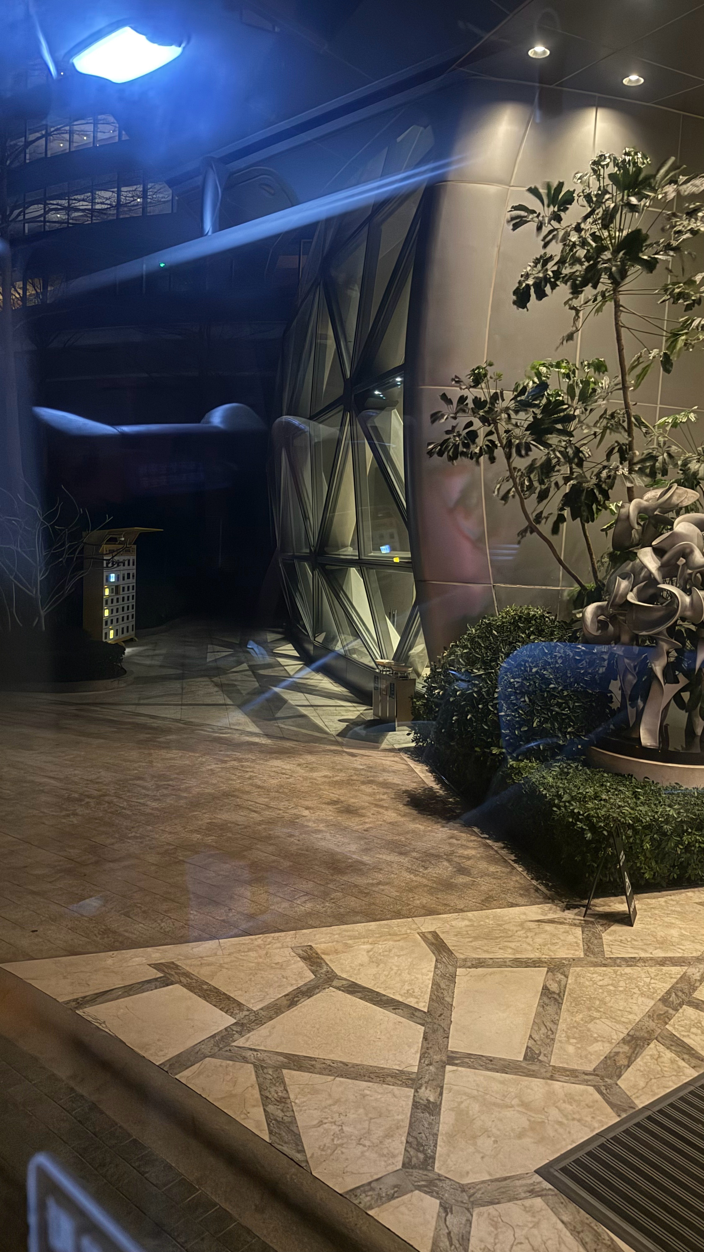 最近真的是“睡得比狗晚”“起得比鸡早”