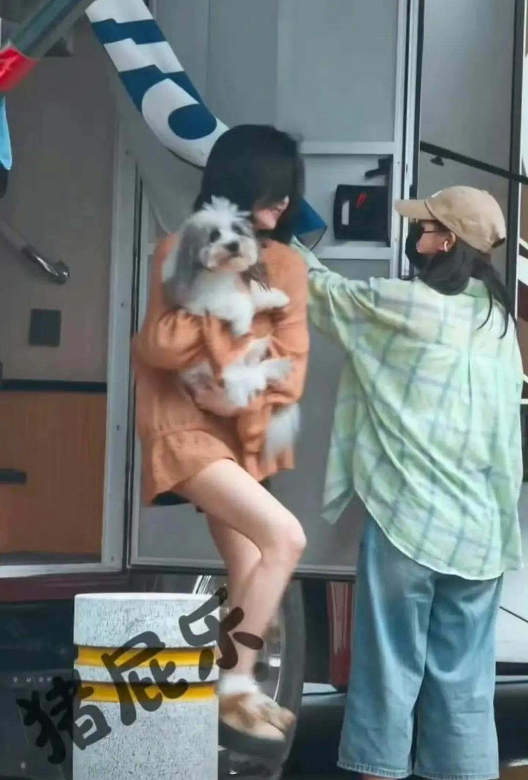 白鹿为了流量，现在开始走袁丽路线开始偷狗了吗 ​​​