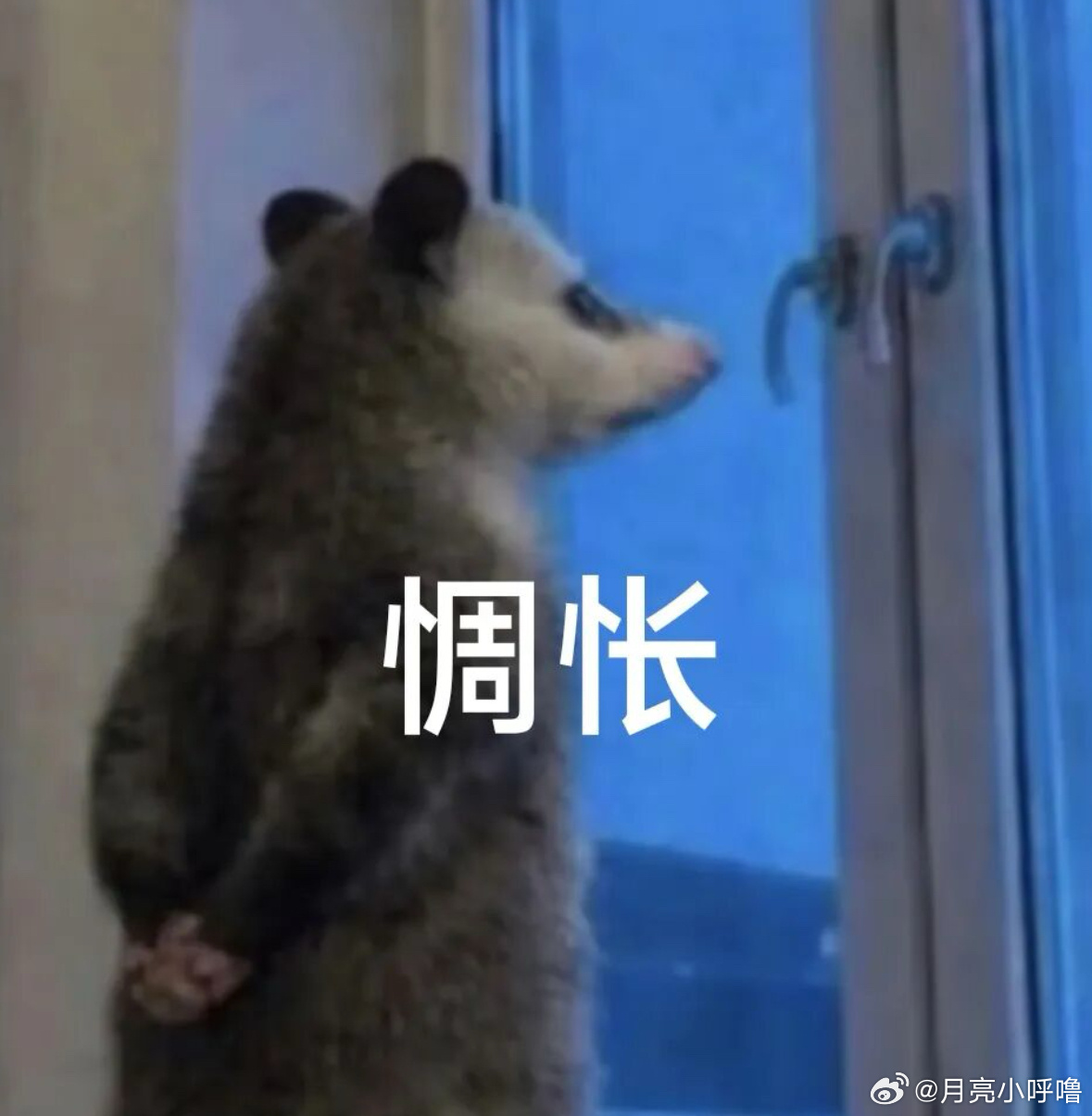 难受 退网一天…二编： 二开对我好点好吗（已确认有二开）白鹿见面会抢票秒没  给
