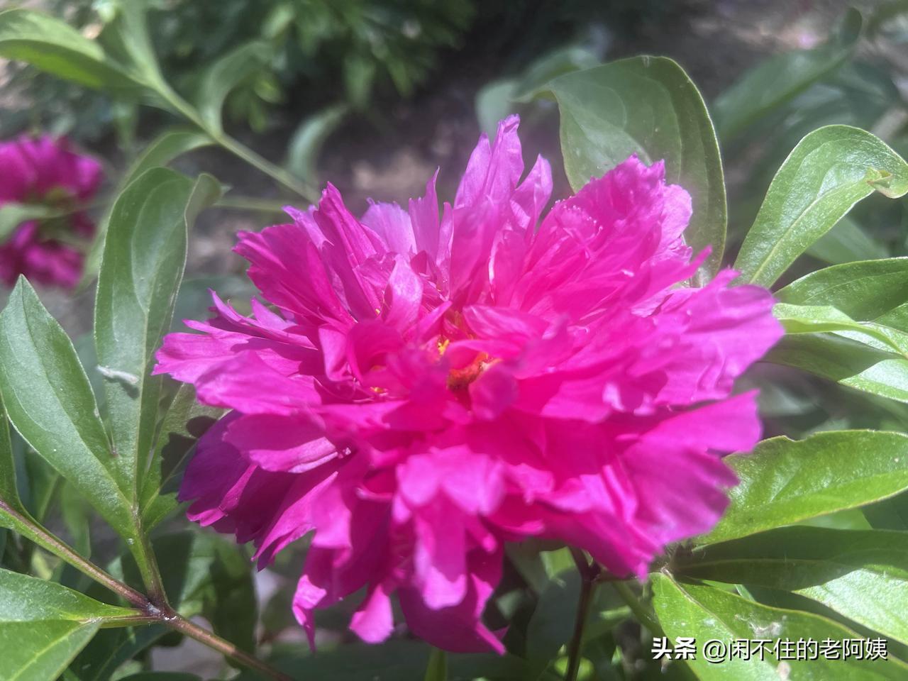 林黛玉为何那么自私凉薄?
从世俗的角度看，黛玉不愿意融入人群，不刻意维护人际关系