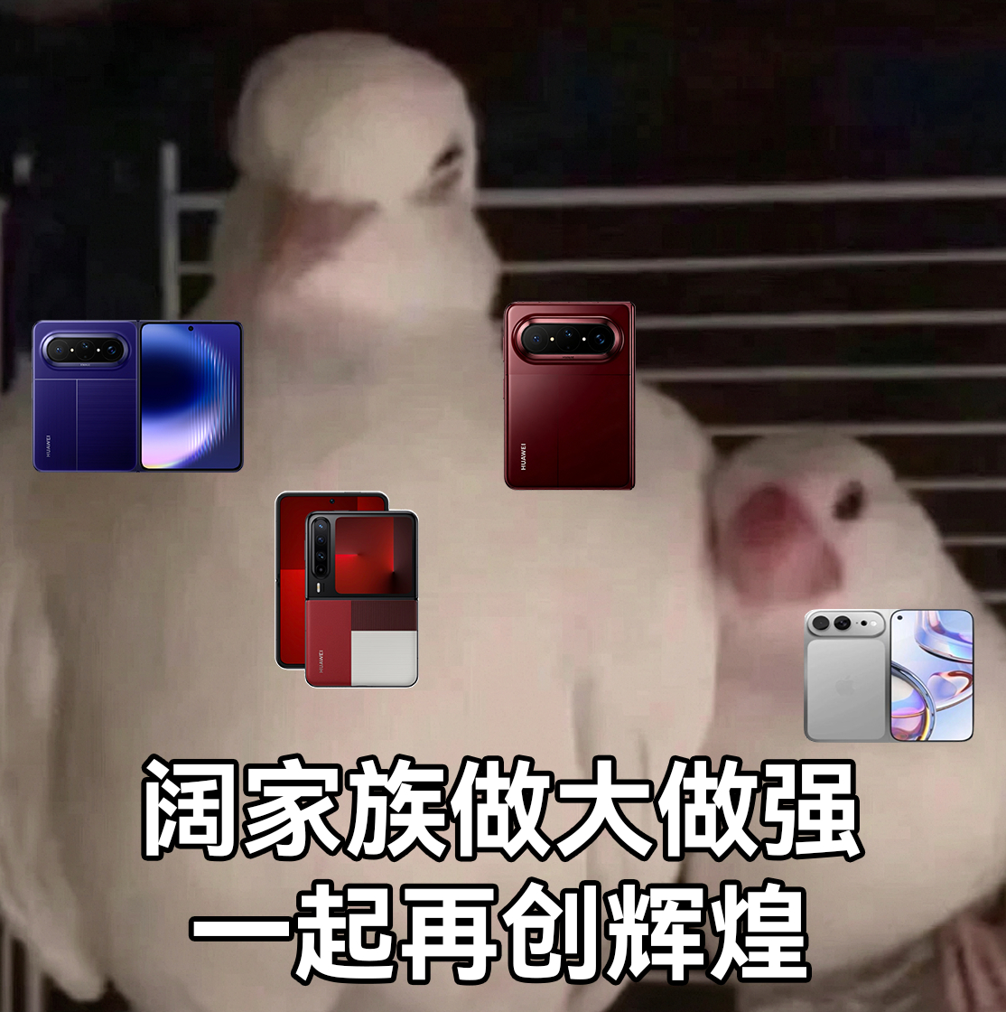 iPhoneDuo上市最大受益者或是华为阔屏手机或成市场增长主力谁规定直板手机就