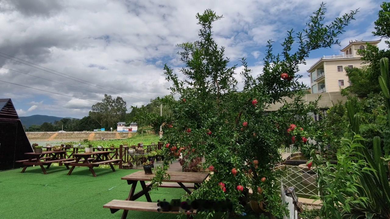 📸这里有颗石榴，我拍个特写，看一下是不是很漂亮。

1️⃣想虚化好，长焦、大光