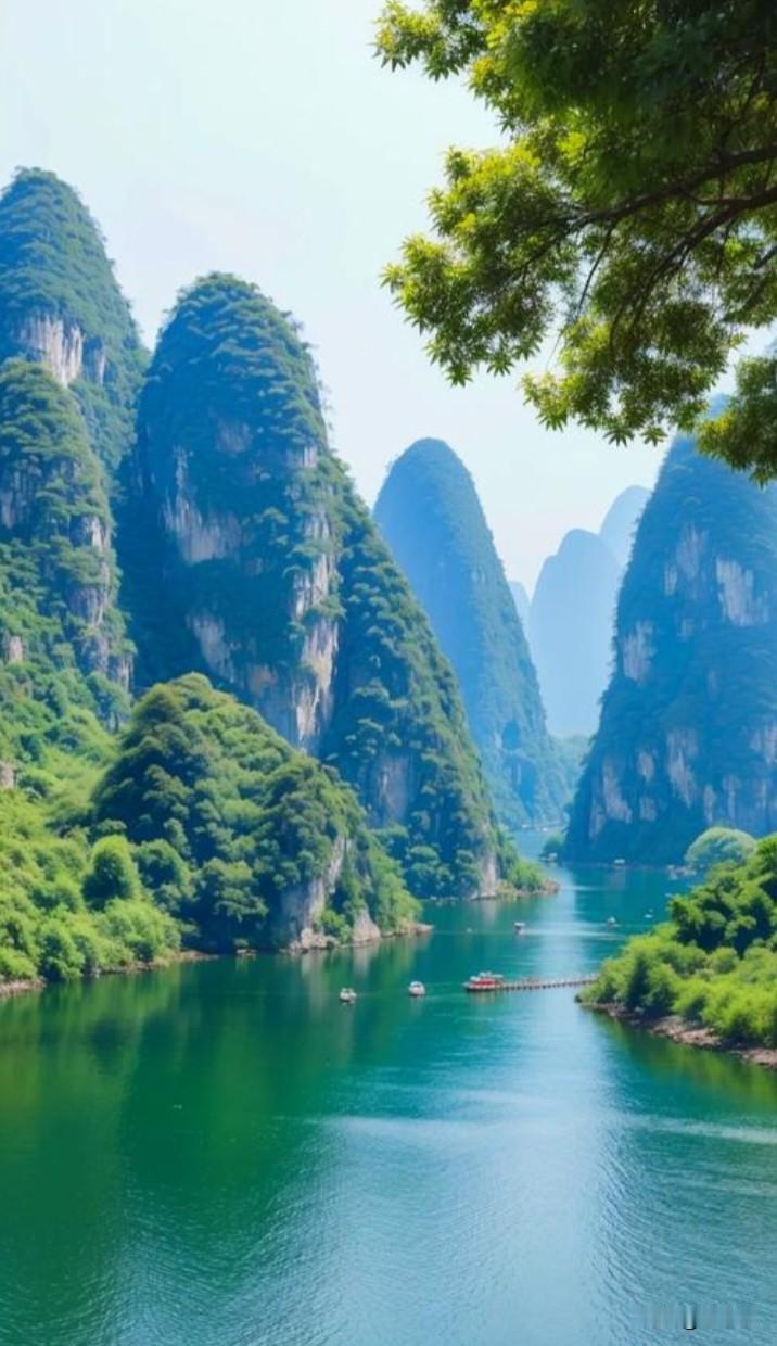 图片摘取于