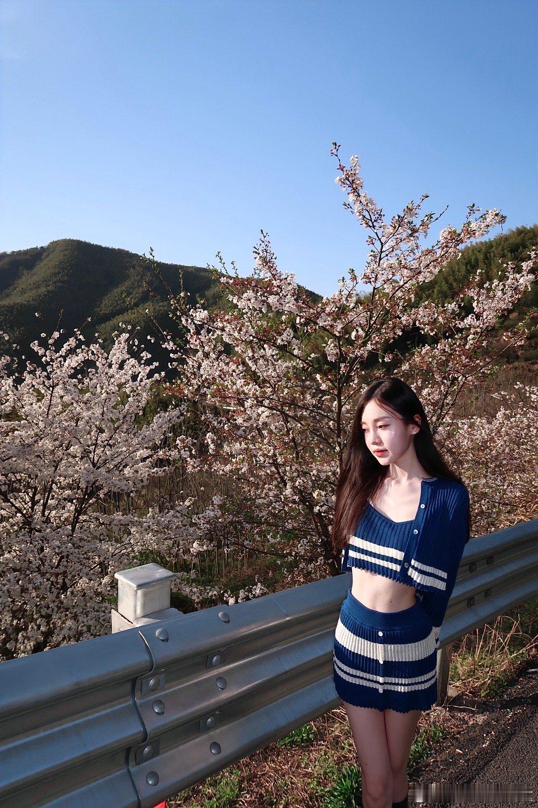 樱花味的春天～ ​​​