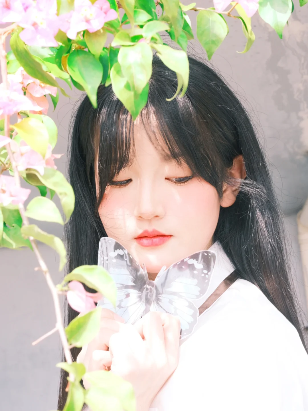 🌸富士直出的仙湖植物园！附攻略