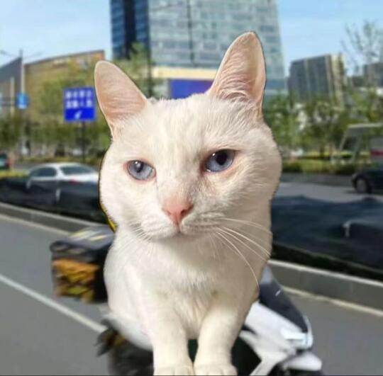 单位食堂是要被取代了吗