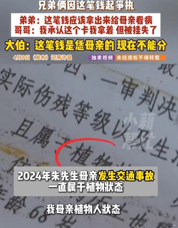 母亲成植物人获赔116万兄弟起争执 所以养儿防老到底防的是什么？母亲成植物人，不