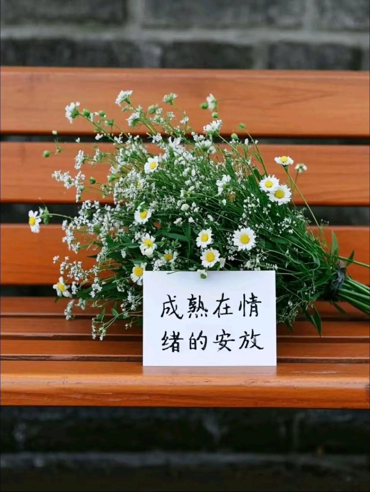 “成熟指的不是年龄， 而是安放情绪的能力……