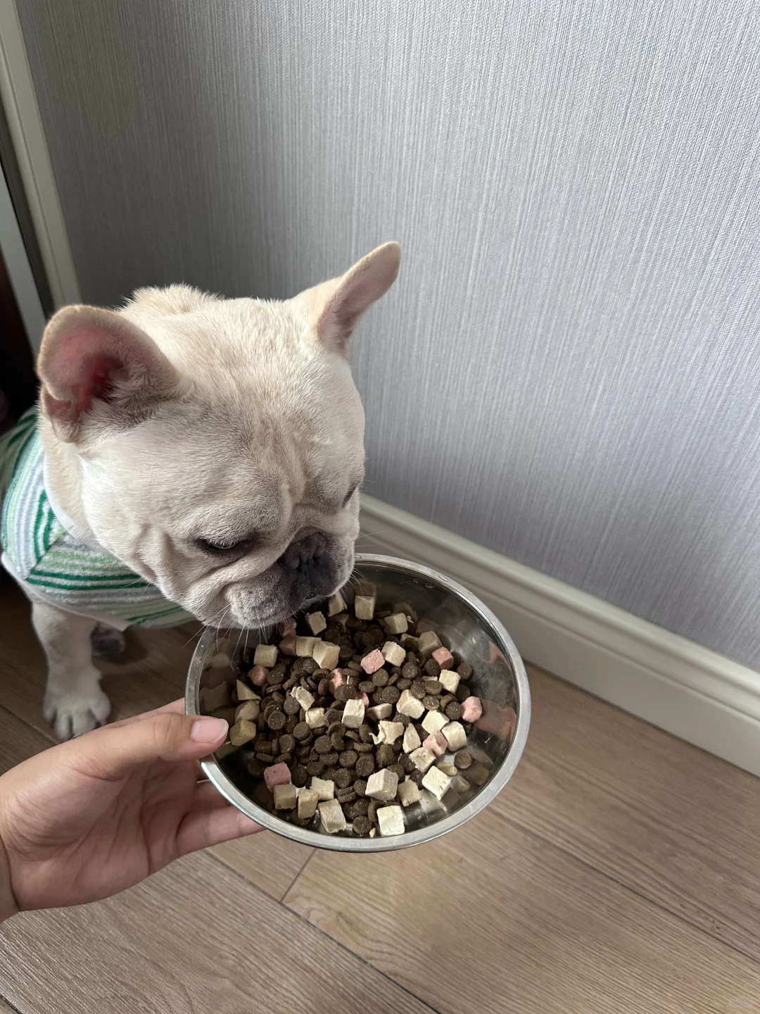 奶糖没有泪痕的秘密！