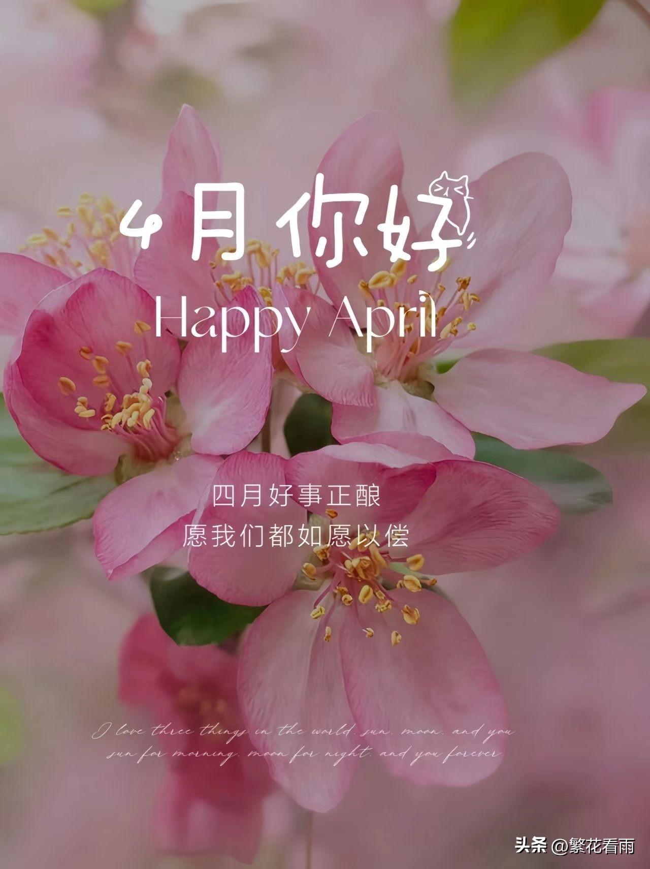 四月，是新的开始，是希望的种子破土而出的时刻。愿我们不负春光，不负自己，在四月的