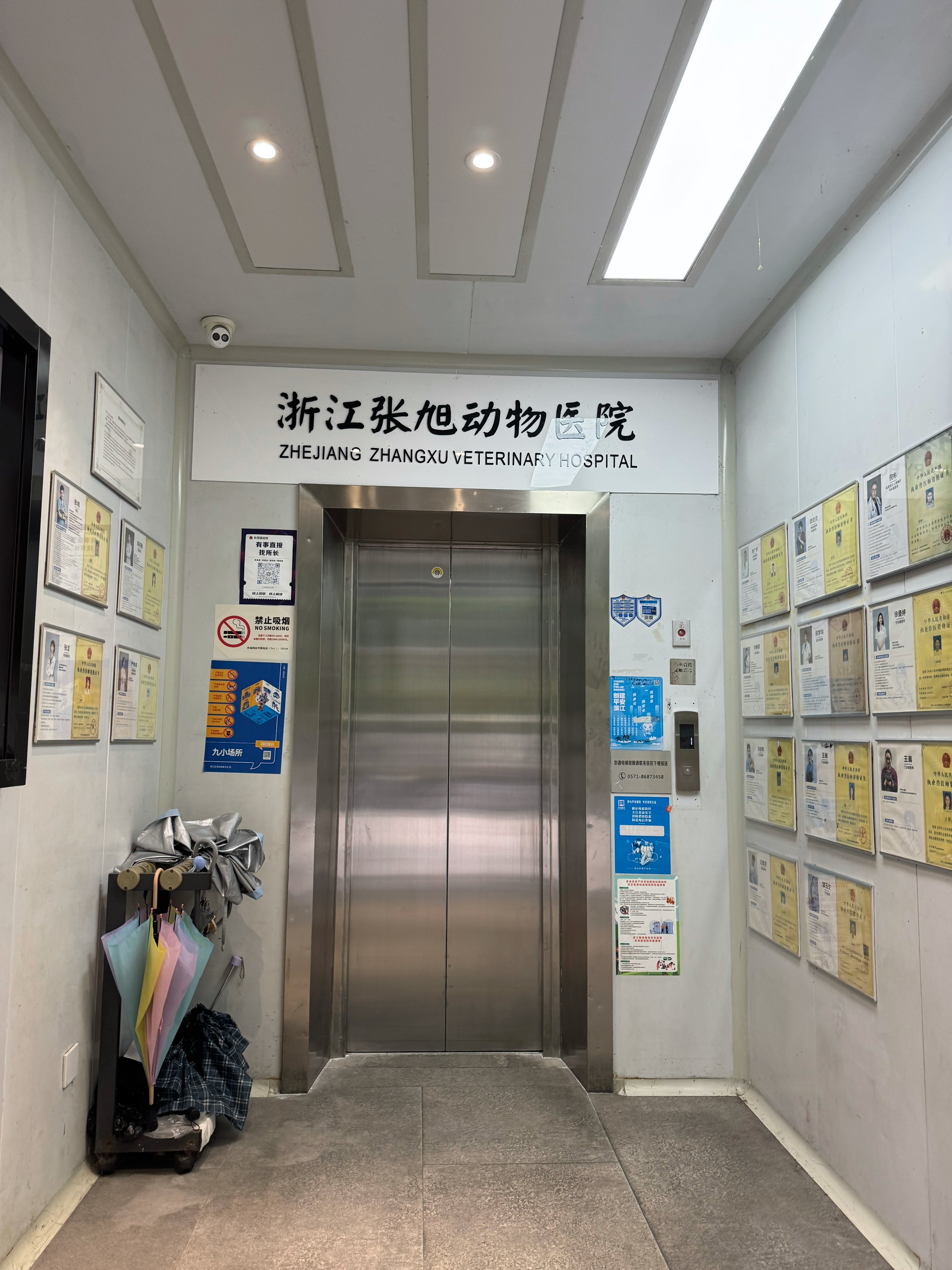 妹妹的眼睛估计是角膜溃疡，牙结石比较严重，还在检查中（顺便做今年的体检）。萌宠c