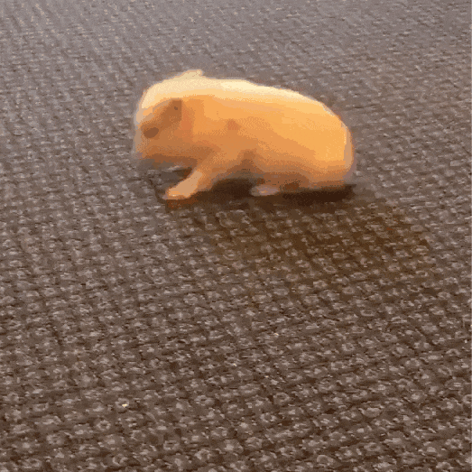 猪猪积累 