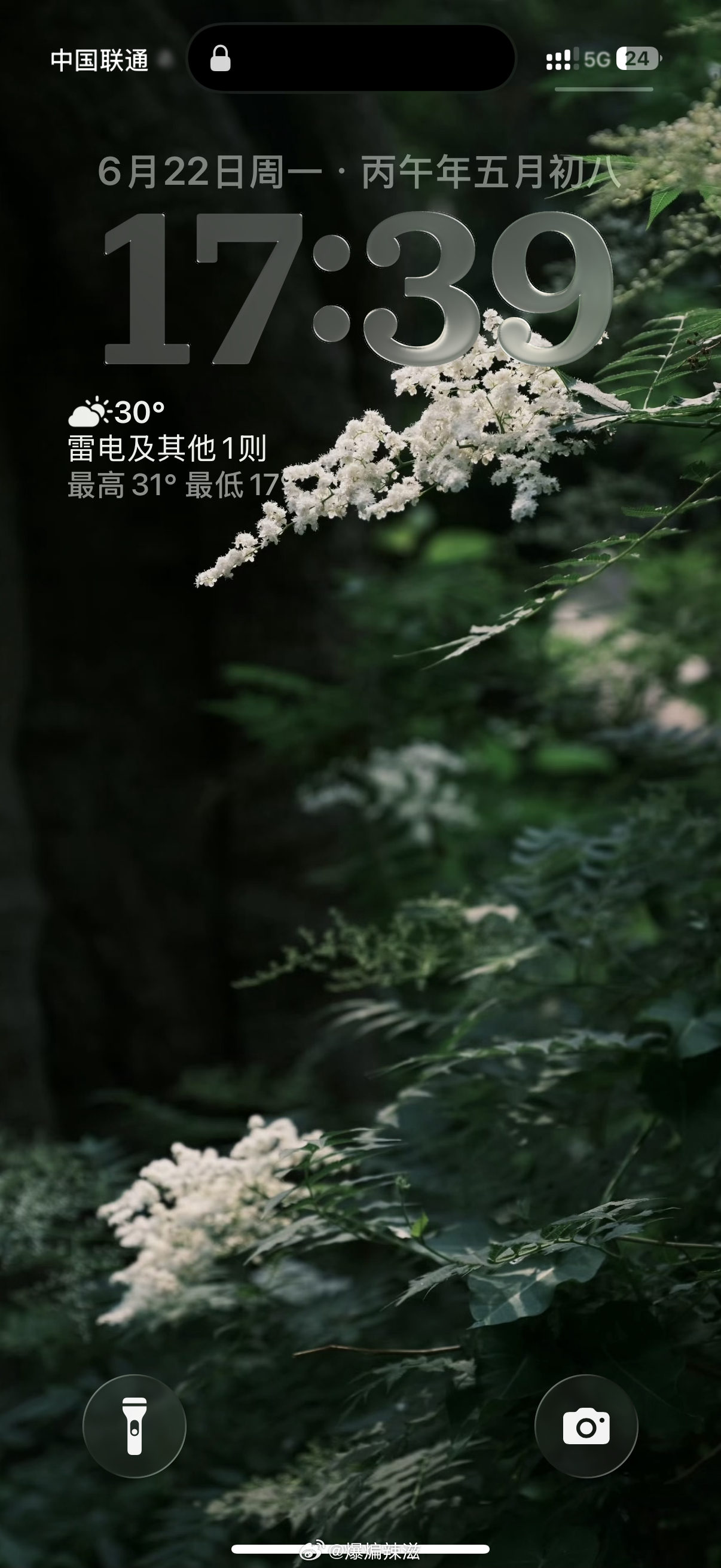 喜欢…叔叔好会拍喜欢花花草草蓝天白云阳光多拍爱看 