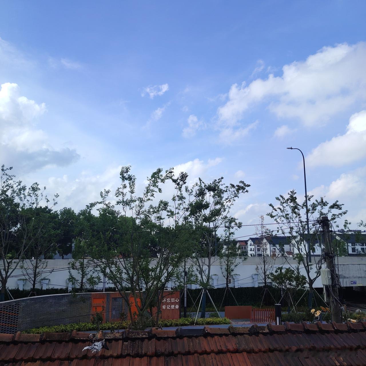 这台风持续时间估计要超历史了，8月1日晚上，苏州昆山等地，就召开了防白海豚工作，