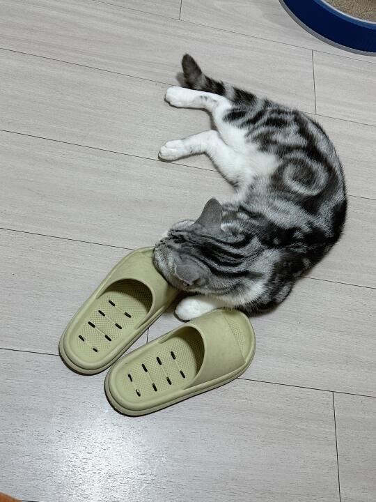 啊，这… 恋鞋癖？🤔