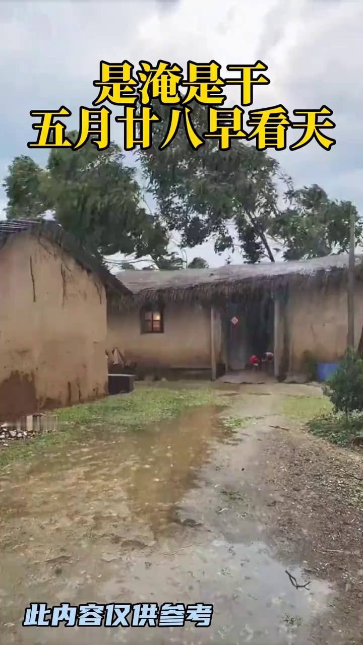 是淹是干，五月廿八早看天。
俗话说：五月二十八淋，阴雨连绵十八河。二十八洗街雨，